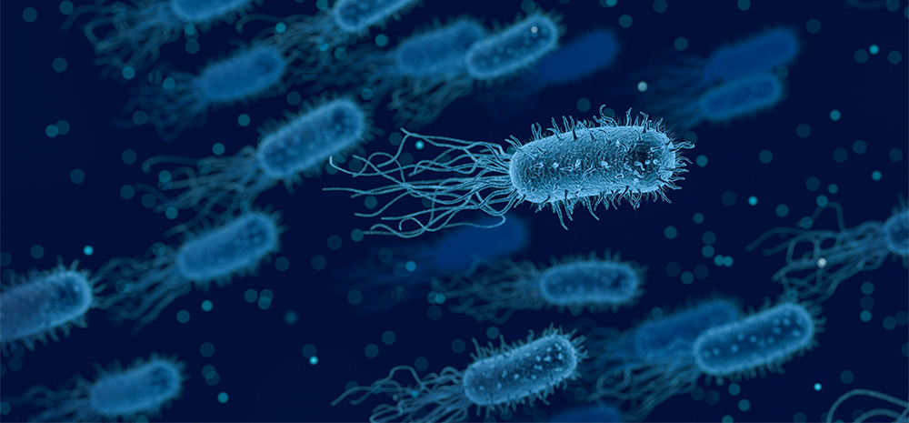 Immunolab Clinical Diagnostics GmbH